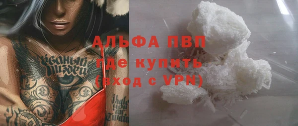 крисы Баксан