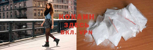крисы Баксан
