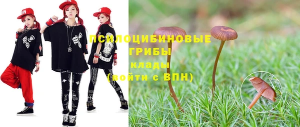 крисы Баксан
