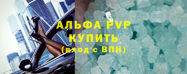 крисы Баксан