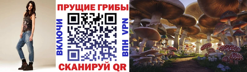 Галлюциногенные грибы GOLDEN TEACHER  Богданович 